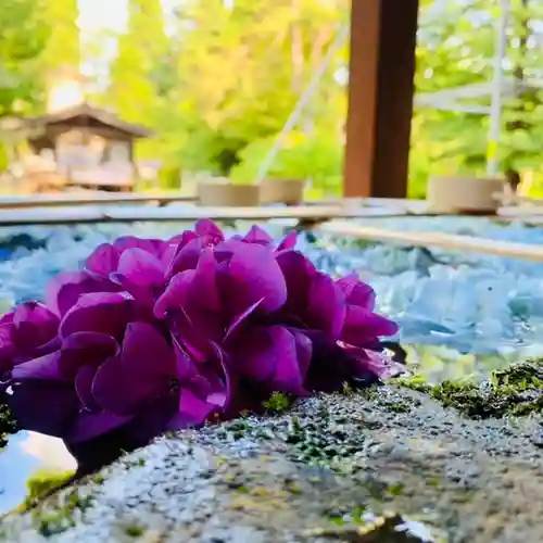 土津神社｜こどもと出世の神さまの手水