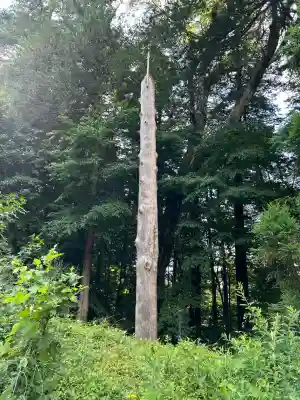 諏訪大社(長野県)