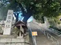 祇園神社の{uncategorized: "未分類", other: "その他", undefined: "問題あり", building: "その他建物", grave: "お墓", sacred_gate: "鳥居", guardian: "狛犬", statue: "像", buddha: "仏像", history: "歴史", nature: "自然", garden: "庭園", animal: "動物", pagoda: "塔", temizu: "手水舎", mountain_gate: "山門・神門", sanctuary: "本殿・本堂", subordinate: "末社・摂社", art: "芸術", scenery: "景色", jizo: "地蔵", ema: "絵馬", goshuin: "御朱印", omikuji: "おみくじ", items: "授与品その他", amulet: "お守り", goshuincho: "御朱印帳", eats: "食事", festival: "お祭り", votive_dance: "神楽", shichigosan: "七五三参", wedding: "結婚式", experience: "体験その他", initially: "初詣", around: "周辺", anti_infection: "感染症対策"}