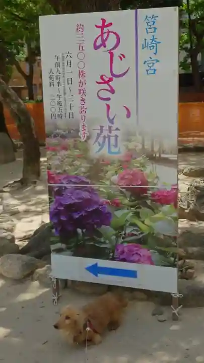筥崎宮(福岡県)