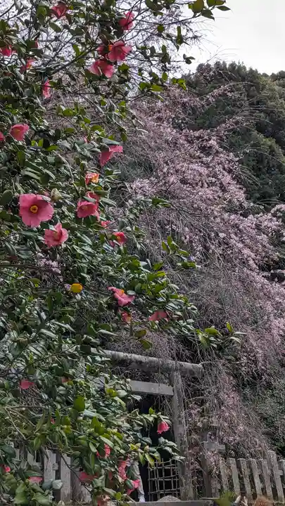 大豊神社(京都府)