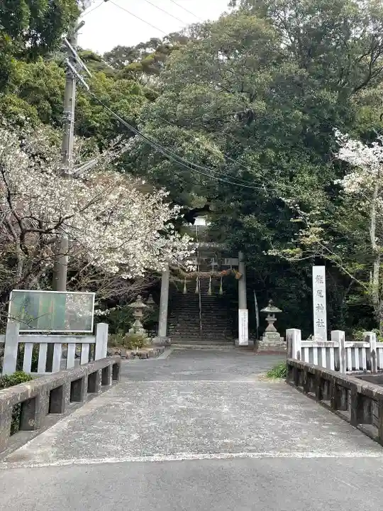 龍尾神社の鳥居
