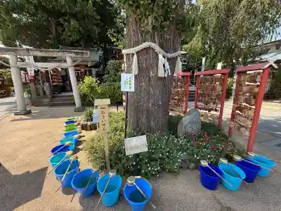 川越八幡宮(埼玉県)