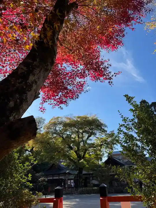 賀茂別雷神社(上賀茂神社)(京都府)