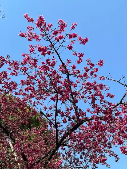 亀戸天神社(東京都)