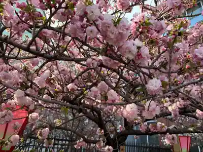 大阪天満宮(大阪府)