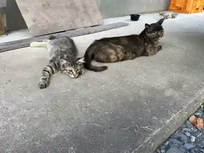 亀岡八幡宮(栃木県)