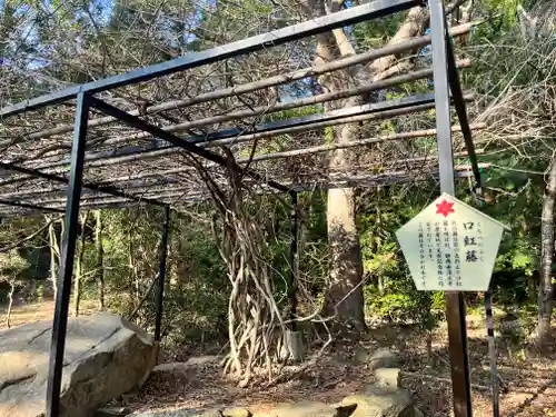 大麻比古神社の自然