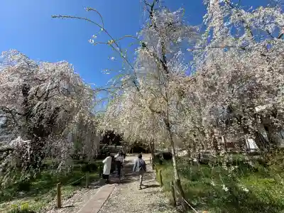 安養寺の{uncategorized: "未分類", other: "その他", undefined: "問題あり", building: "その他建物", grave: "お墓", sacred_gate: "鳥居", guardian: "狛犬", statue: "像", buddha: "仏像", history: "歴史", nature: "自然", garden: "庭園", animal: "動物", pagoda: "塔", temizu: "手水舎", mountain_gate: "山門・神門", sanctuary: "本殿・本堂", subordinate: "末社・摂社", art: "芸術", scenery: "景色", jizo: "地蔵", ema: "絵馬", goshuin: "御朱印", omikuji: "おみくじ", items: "授与品その他", amulet: "お守り", goshuincho: "御朱印帳", eats: "食事", festival: "お祭り", votive_dance: "神楽", shichigosan: "七五三参", wedding: "結婚式", experience: "体験その他", initially: "初詣", around: "周辺", anti_infection: "感染症対策"}