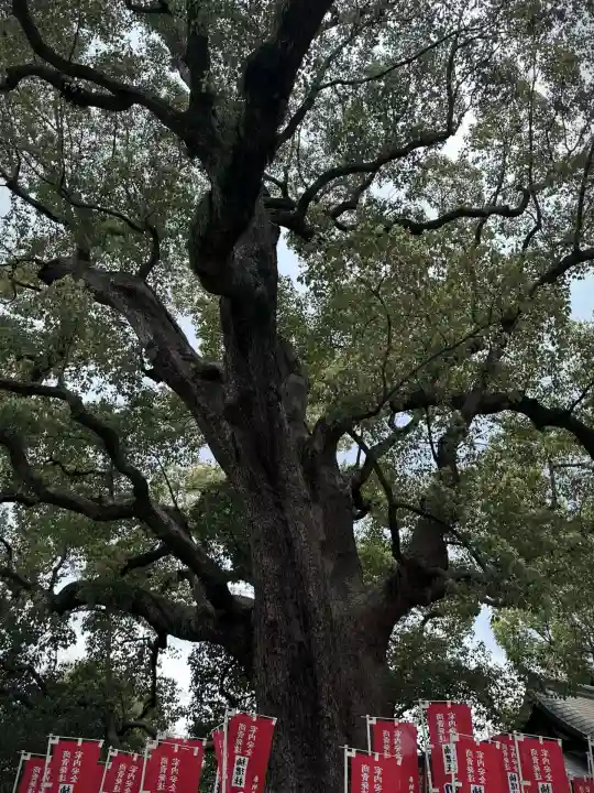楠珺社(住吉大社末社)(大阪府)