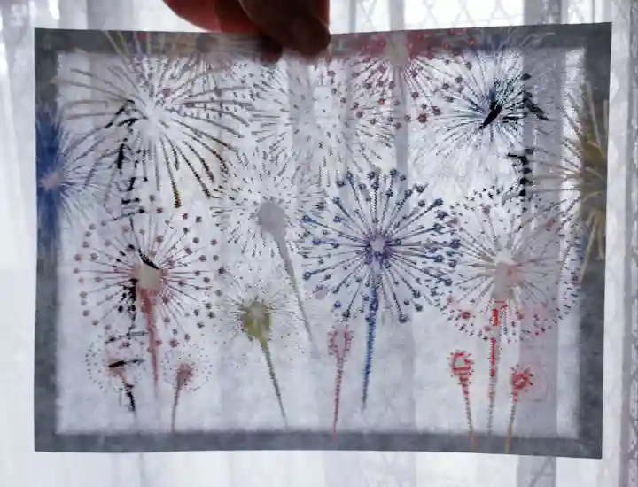 阿佐ヶ谷神明宮(東京都)