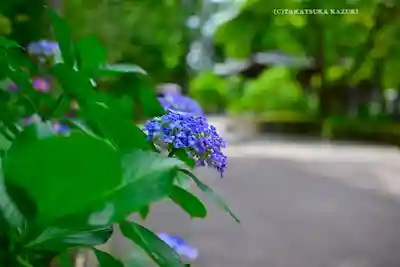 円覚寺(神奈川県)