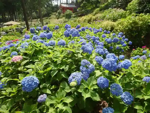 三室戸寺の自然