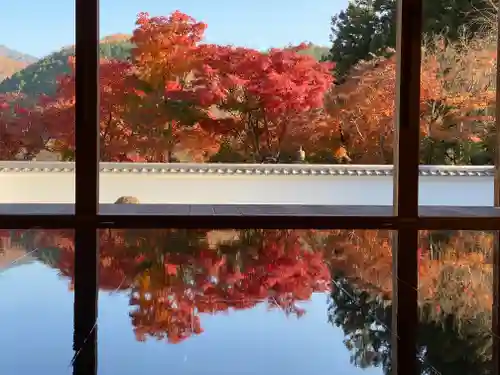 宝徳寺(群馬県)