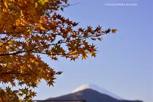箱根神社(神奈川県)