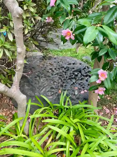 寳蓮寺の{uncategorized: "未分類", other: "その他", undefined: "問題あり", building: "その他建物", grave: "お墓", sacred_gate: "鳥居", guardian: "狛犬", statue: "像", buddha: "仏像", history: "歴史", nature: "自然", garden: "庭園", animal: "動物", pagoda: "塔", temizu: "手水舎", mountain_gate: "山門・神門", sanctuary: "本殿・本堂", subordinate: "末社・摂社", art: "芸術", scenery: "景色", jizo: "地蔵", ema: "絵馬", goshuin: "御朱印", omikuji: "おみくじ", items: "授与品その他", amulet: "お守り", goshuincho: "御朱印帳", eats: "食事", festival: "お祭り", votive_dance: "神楽", shichigosan: "七五三参", wedding: "結婚式", experience: "体験その他", initially: "初詣", around: "周辺", anti_infection: "感染症対策"}