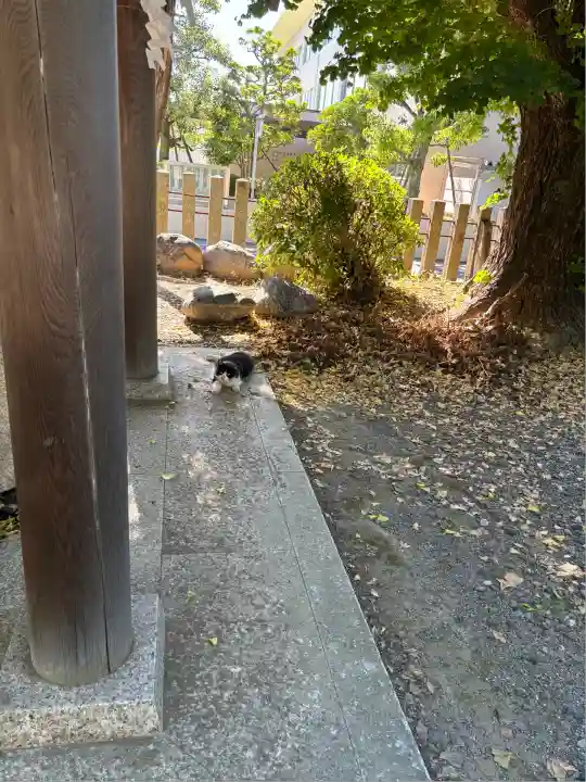 大垣大神宮(岐阜県)