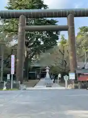 大宝八幡宮の鳥居