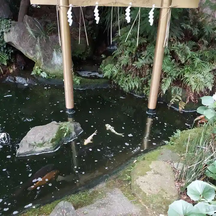 愛宕神社(東京都)