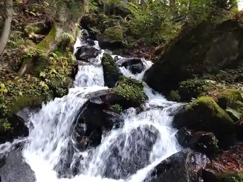 正宝院(新潟県)