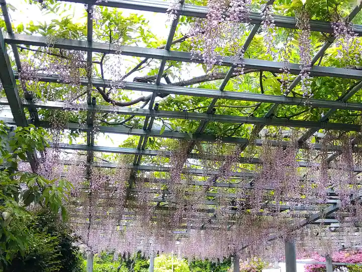阿智神社(岡山県)