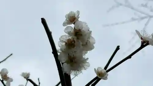長泉院(埼玉県)