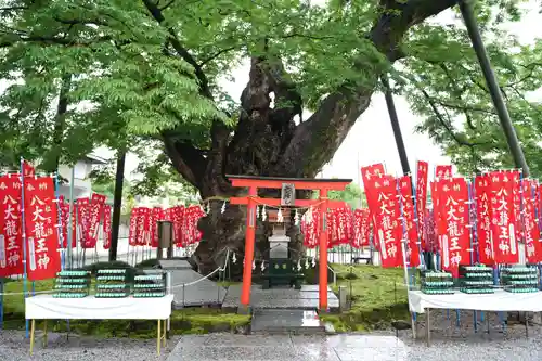秩父今宮神社(埼玉県)