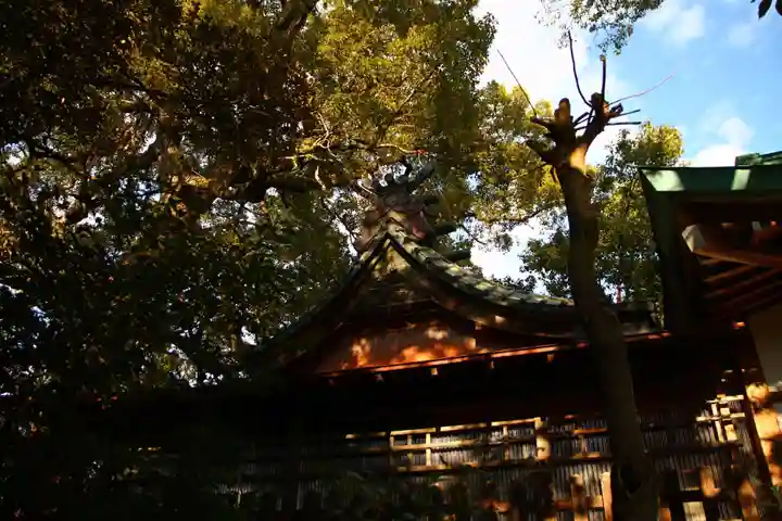 芳川神社(埼玉県)