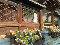 興正寺別院(本山興正寺霊山本廟)(京都府)