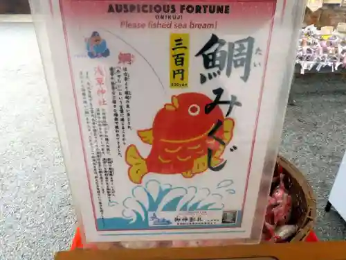 浅草神社のおみくじ