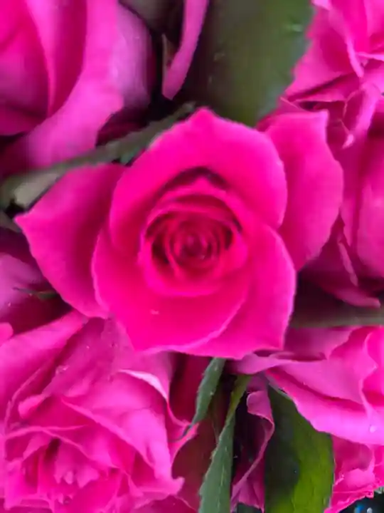 上尾御嶽神社の手水舎