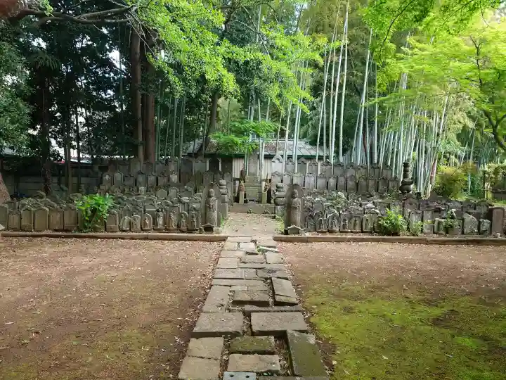 東漸寺の{uncategorized: "未分類", other: "その他", undefined: "問題あり", building: "その他建物", grave: "お墓", sacred_gate: "鳥居", guardian: "狛犬", statue: "像", buddha: "仏像", history: "歴史", nature: "自然", garden: "庭園", animal: "動物", pagoda: "塔", temizu: "手水舎", mountain_gate: "山門・神門", sanctuary: "本殿・本堂", subordinate: "末社・摂社", art: "芸術", scenery: "景色", jizo: "地蔵", ema: "絵馬", goshuin: "御朱印", omikuji: "おみくじ", items: "授与品その他", amulet: "お守り", goshuincho: "御朱印帳", eats: "食事", festival: "お祭り", votive_dance: "神楽", shichigosan: "七五三参", wedding: "結婚式", experience: "体験その他", initially: "初詣", around: "周辺", anti_infection: "感染症対策"}