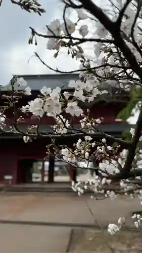 本成寺(新潟県)
