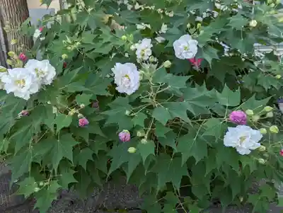 引接寺（千本ゑんま堂）(京都府)