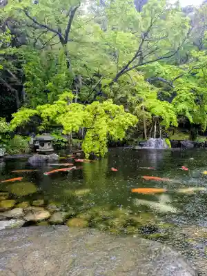 長谷寺の{uncategorized: "未分類", other: "その他", undefined: "問題あり", building: "その他建物", grave: "お墓", sacred_gate: "鳥居", guardian: "狛犬", statue: "像", buddha: "仏像", history: "歴史", nature: "自然", garden: "庭園", animal: "動物", pagoda: "塔", temizu: "手水舎", mountain_gate: "山門・神門", sanctuary: "本殿・本堂", subordinate: "末社・摂社", art: "芸術", scenery: "景色", jizo: "地蔵", ema: "絵馬", goshuin: "御朱印", omikuji: "おみくじ", items: "授与品その他", amulet: "お守り", goshuincho: "御朱印帳", eats: "食事", festival: "お祭り", votive_dance: "神楽", shichigosan: "七五三参", wedding: "結婚式", experience: "体験その他", initially: "初詣", around: "周辺", anti_infection: "感染症対策"}