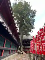 北口本宮冨士浅間神社(山梨県)