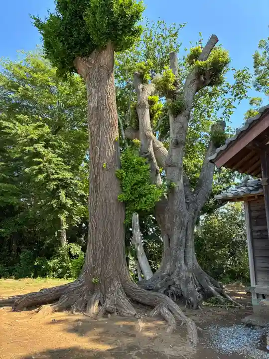 熊野神社(千葉県)
