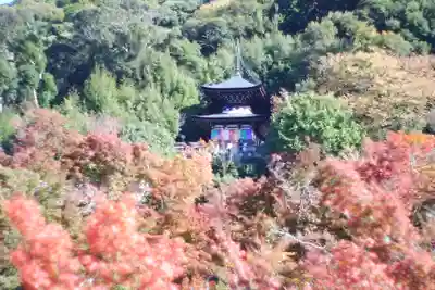 禅林寺(永観堂)(京都府)