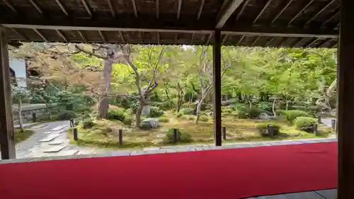 圓光寺(京都府)