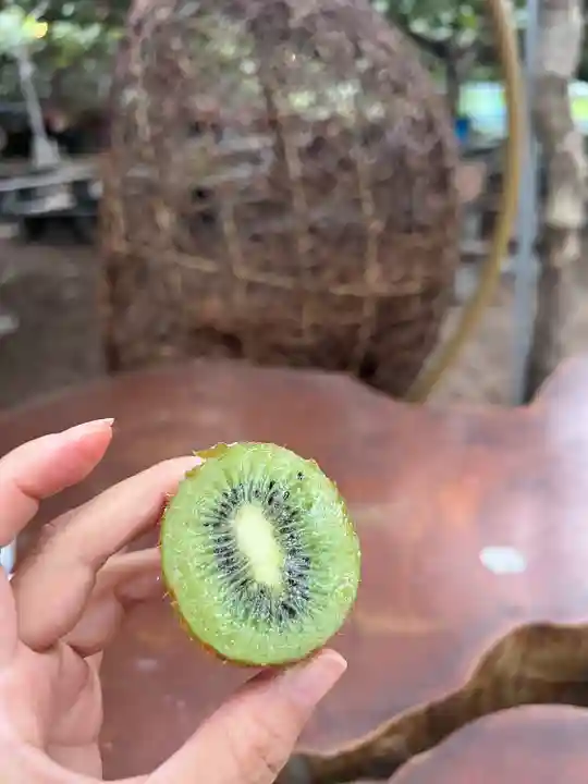 事任八幡宮(静岡県)