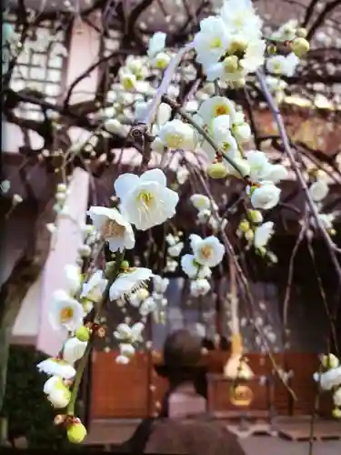 聖輪寺(東京都)