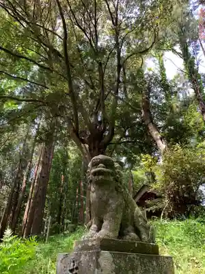 瀧口神社の狛犬