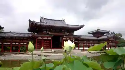 平等院(京都府)