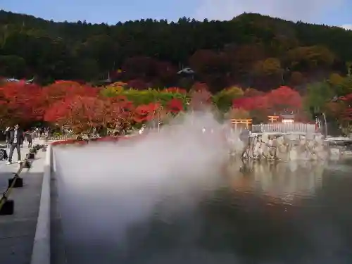 勝尾寺の庭園