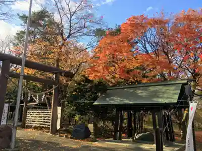 月寒神社の手水舎