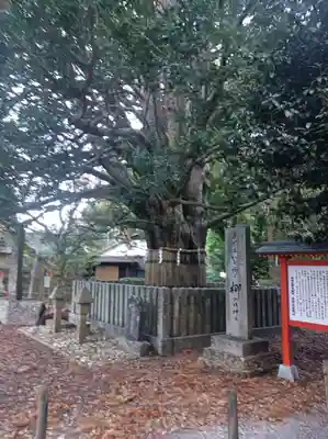 熊野速玉大社の御朱印