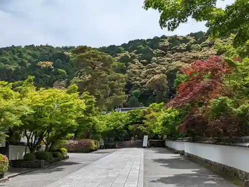 禅林寺（永観堂）(京都府)
