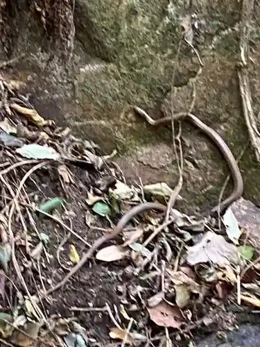 出釈迦寺奥の院　捨身ヶ嶽(香川県)