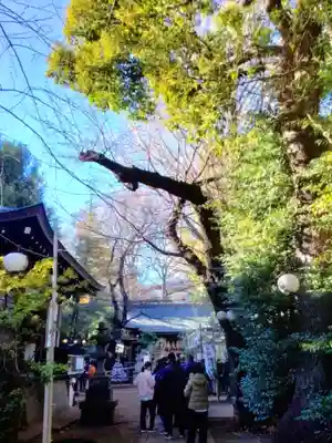 神明氷川神社(東京都)
