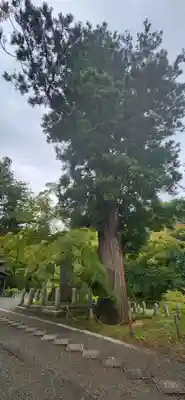 普門院（文知摺観音）の周辺